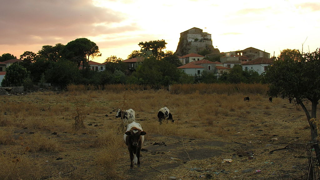 Image of cows in a field in Petra near a monastery.